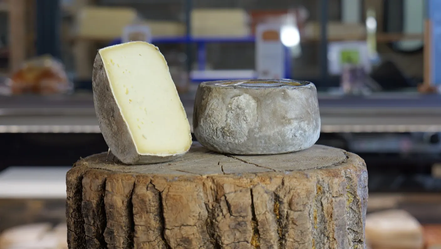 Tomme crémeuse de Savoie